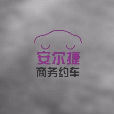 南阳安尔捷约车