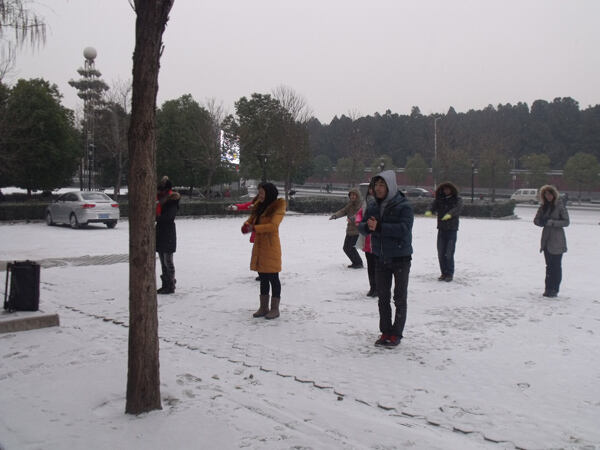 《舞动南阳》百牛网络公司员工大雪中晨操——第 2 张配图