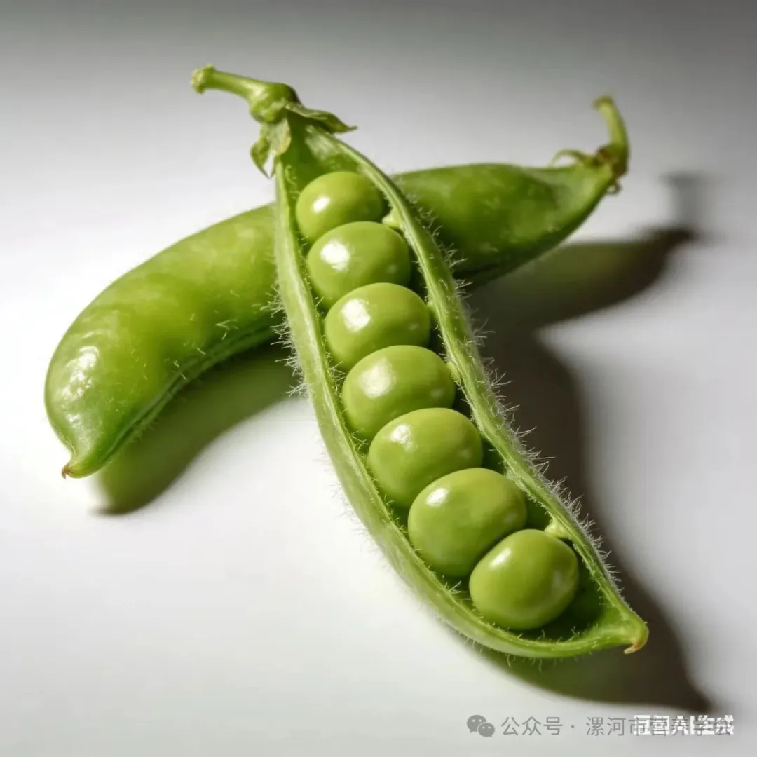 【营养在线】冬吃“翡翠豆”，健脾防便秘！解腻、安神、强体质，做法全在这
